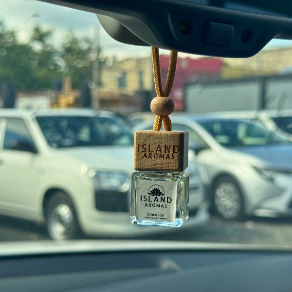 Hanging Bottle Diffuser - Black Ice - Image 7